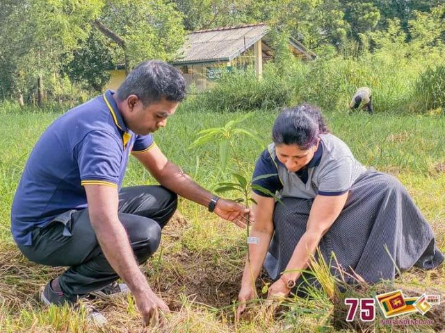 75 වන නිදහස් දින සමරු උළෙල
